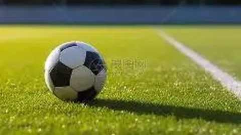 刘雯携手击剑女王孙一文共登时尚秀场