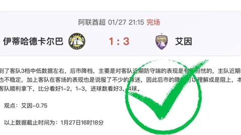 激情对决！柏林赫塔与达姆施塔特激战正酣，独家比分揭秘！