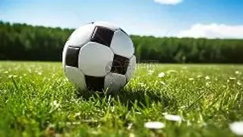 “2025蓝湾大师赛：高尔夫盛事完美落幕”